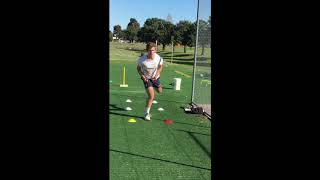 Speed and Agility workout for cricketers