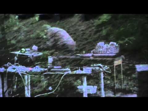 Anonyma Alkoholister