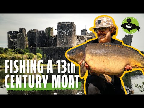 CARP FISHING a CASTLE MOAT! 🎣 Caerphilly’s Hidden Giants!