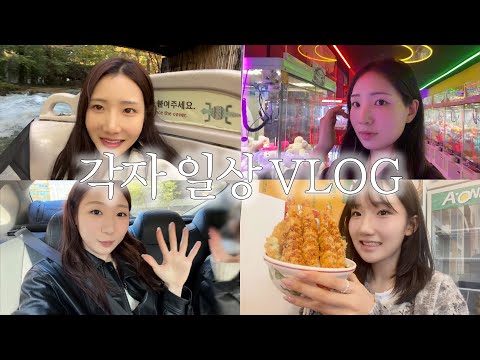 네자매는 각자 하루를 어떻게 보낼까?