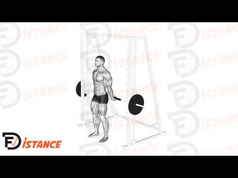 Curl de poignet arrière à la guidée (Smith machine) - Exercice Curl de poignet arrière à la guidée (Smith machine) en vidéo Curl de poignet arrière à la guidée (Smith machine) - Exercice Curl de poignet arrière à la guidée (Smith machine) en vidéo