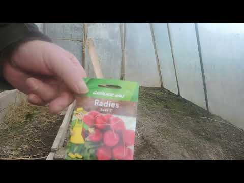 Glashaus-Aussaat: Dein Frühstart ins Gartenjahr!