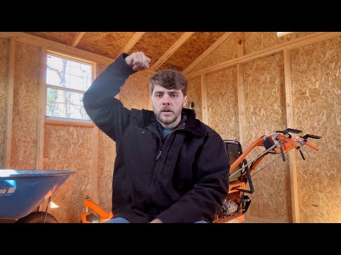 The Story of The Wise King