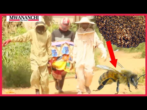 Nyuki wawatawanya waombolezaji makaburini
