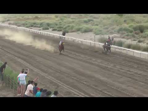 LONJAZO  Club Hípico Añelo - Añelo - Neuquén - 12-03-2023