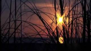 Piccola canzone d&#39;amore - Paola Turci