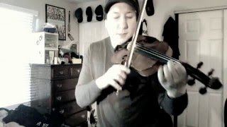 Hands on the Bible - Local H - Violin Cover