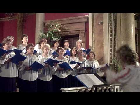 Dolna si joc  de M. Negrea