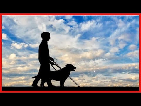 Sehbehinderung: Alles, was du wissen solltest!