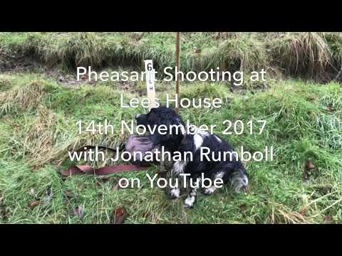 Pheasant Shooting at Lees House 14th November 2017