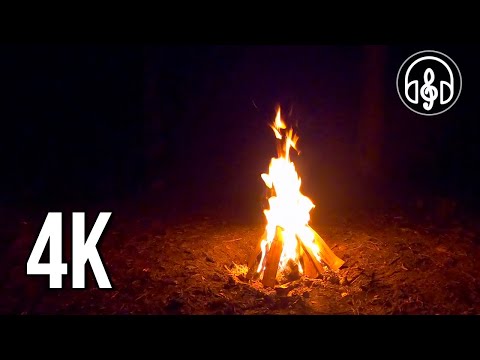 Relaxing night campfire. 4K Video 30 minutes of fire sound.