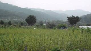 preview picture of video 'South Korea: Hahoe Folk Village, a must-see destination'