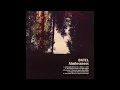 DNTEL - Puma