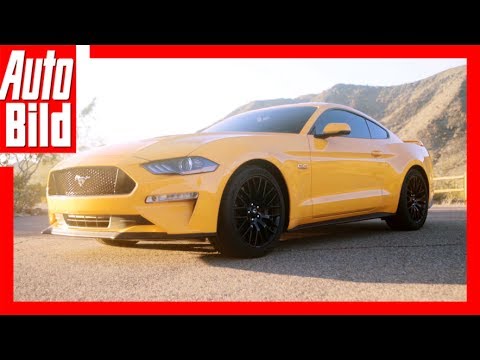 Ford Mustang GT (2018) - Schneller als ein Elfer