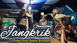 Download lagu Cewek Nari Jangkrik Genggong Ringin Putih Budoyo B... mp3