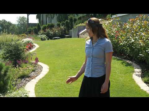 Balatoni panorámájú kert