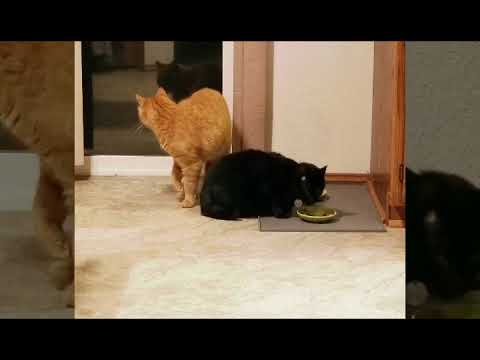 breakfast with Curly and Nermeen