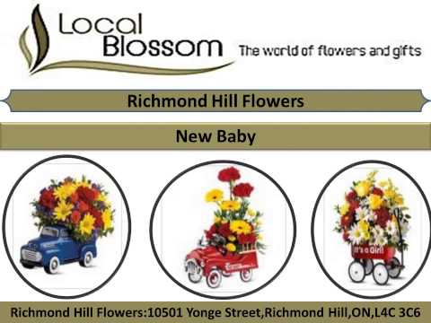 download lagu mp3 mp4 Wedding Flowers Richmond Hill, download lagu Wedding Flowers Richmond Hill gratis, unduh video klip Wedding Flowers Richmond Hill