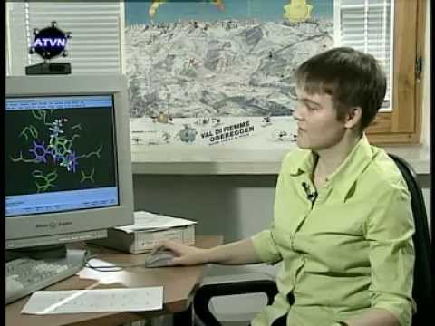 Zastosowanie kukurydza w kulturystyce Jak zrobić mięśnie silniejsze