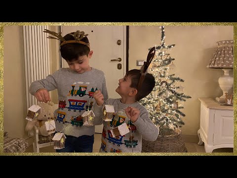 Decoriamo il nuovo albero di Natale! - Christmas VLOG