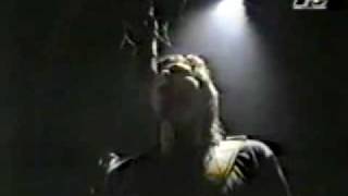 brodsky tune MORTEN HARKET