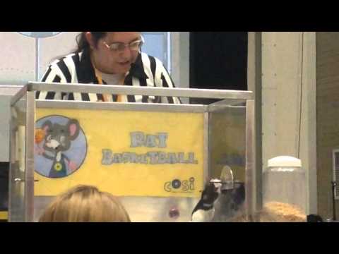 Trip to Columbus: COSI Museum Rat Basketball Part 3 of 3