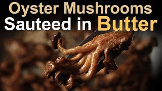 Best Oyster Mushrooms Sauteed in Butter - Recipe