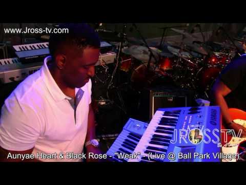James Ross @ Aunyae Heart & The Black Rose - "Weak" - www.Jross-tv.com (St. Louis)
