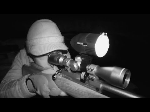 The Airgun Show - lamping rats and the Walther Rotex RM8