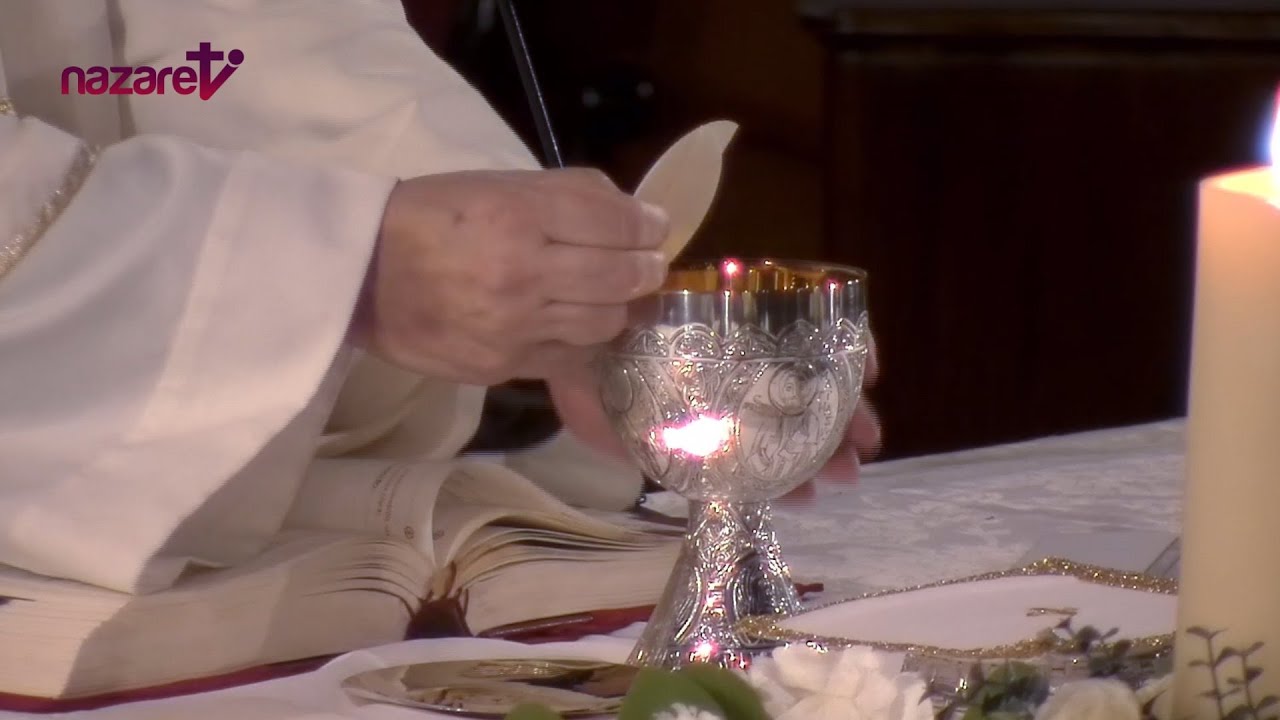 Santa Misa de hoy martes 22 de octubre de 2024. Rvdo. Enric Ribas, pbro.