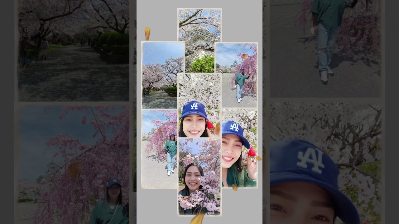 #2025 #cherry blossom season#nagahama shiga ken#japan #vairalvideo #shorts