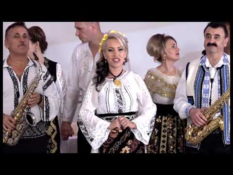 Adriana Curtu Voaidos  - Anii cineri mi-or trecut