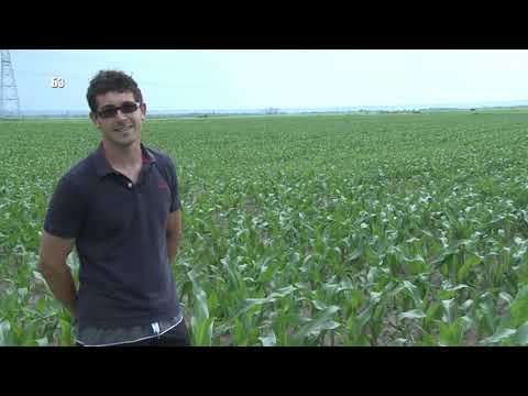 Bolja zemlja za 04.08.2019.