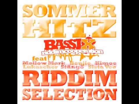 Sommerhitz Riddm Selection Megamix
