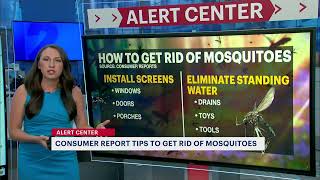 5 tips to prevent mosquito bites and getting sick from viruses