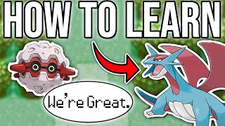 Using Beginner-Friendly Teams in Gen 3 OU.