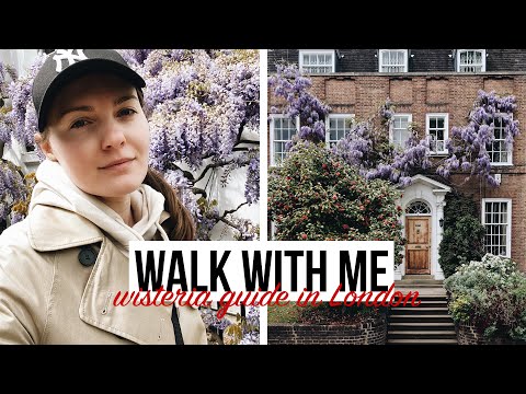 WALK WITH ME | WISTERIA HUNTING in RICHMOND, NOTTING HILL and KENSINGTON