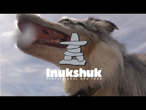 Three different Inukshuk formula ratios for 3 different activity levels