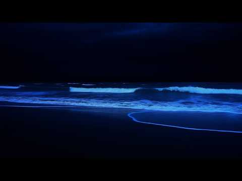 Close Your Eyes And Hear The Ocean | Gentle Night Waves For Deep Rest | Purify the mind