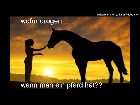 DSZTV ft. drunkleon - rauschzustand