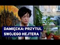 Matylda Damięcka o swojej twórczości i sposobie na hejterów. ("Bez Polityki", TVN24)
