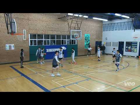 Ice Veins vs thats a foul - saturday tier 9 playoffs - tcbl 2022 fall