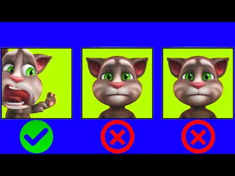 SPOT THE DIFFERENCE! | Talking Tom Shorts | Cartoons For Kids | WildBrain Kids