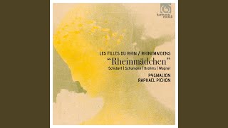 Songtext von Johannes Brahms - Op. 17, 3. Der Gärtner. ... Text Musik-video-Miniaturansicht