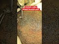 CROWN AREA HAIR TRANSPLANT Hair Crown Hairloss Ytshorts Shorts Hairstyle Drpranilmore