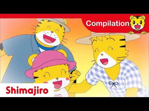 16 minutes Learning Compilation | Learning with Shimajiro and friends | Shimajiro Official