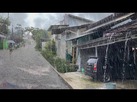 Heavy Rain in Beautiful Village Life | Walk In Heavy Rain | Rain Sounds For Sleep Therapy - ASMR