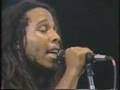 Ziggy Marley and the Melody Makers