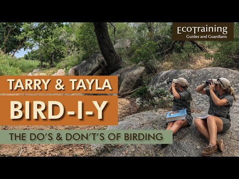 Tarry & Tayla Bird-I-Y | Do's & Don't's
