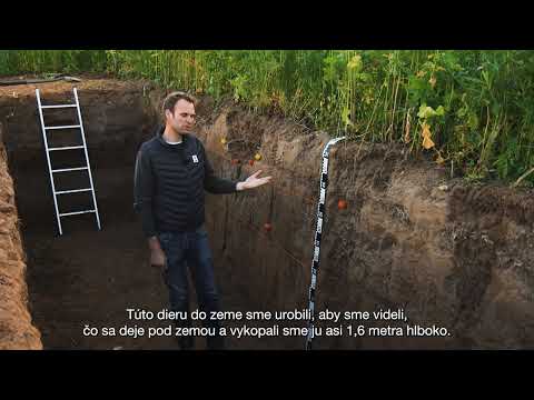 FIT4NEXT - pod medziplodinami KWS